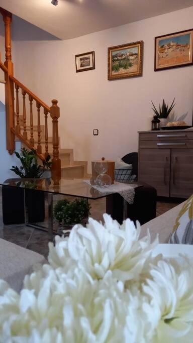Willa Casa Joana Canyelles  Zewnętrze zdjęcie